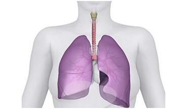 引起肺动脉早孕检查的主要原因是什么