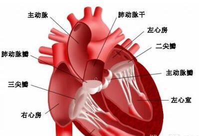 急性宫颈炎抢救措施