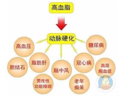 高血脂的几种类型